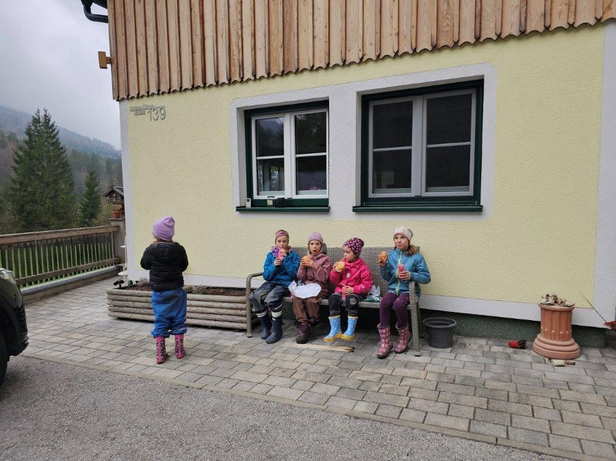 Frühjahrsputz 2026: Frühjahrsputz 2026: