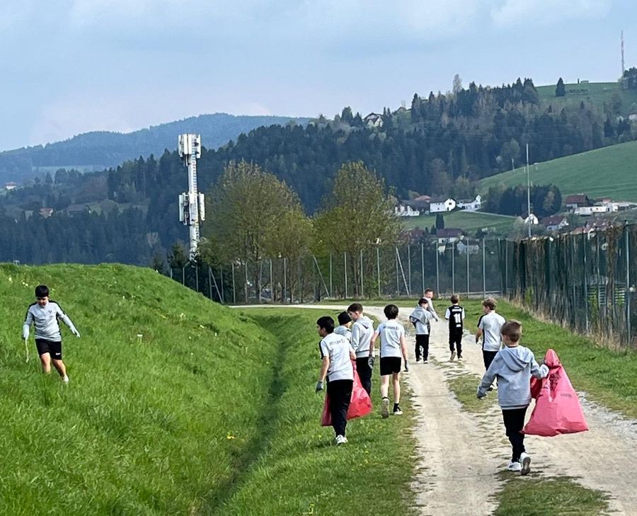 Frühjahrsputz 2026: Frühjahrsputz 2026: