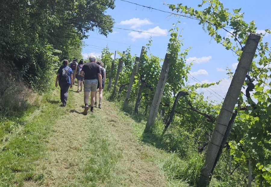 Traminerweg Seindl Traminerweg Seindl
