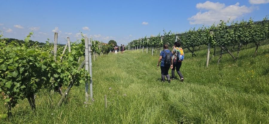 Wandertag der Abfallberater Wandertag der Abfallberater
