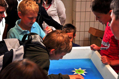 ........ und zum Teil bereits Bekanntes über das Leben im Wasser ........ und zum Teil bereits Bekanntes über das Leben im Wasser