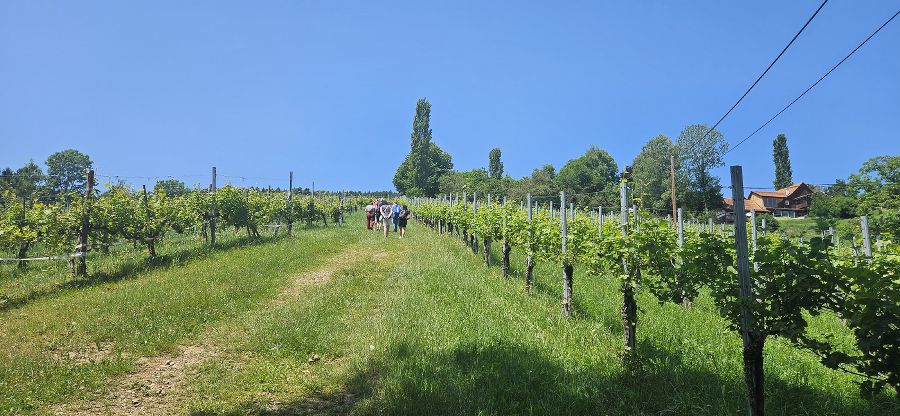 Wandertag der Abfallberater Wandertag der Abfallberater