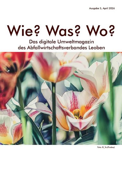 Buntes Tulpenfeld in Nahaufnahme mit künstlerischem Effekt verändert.