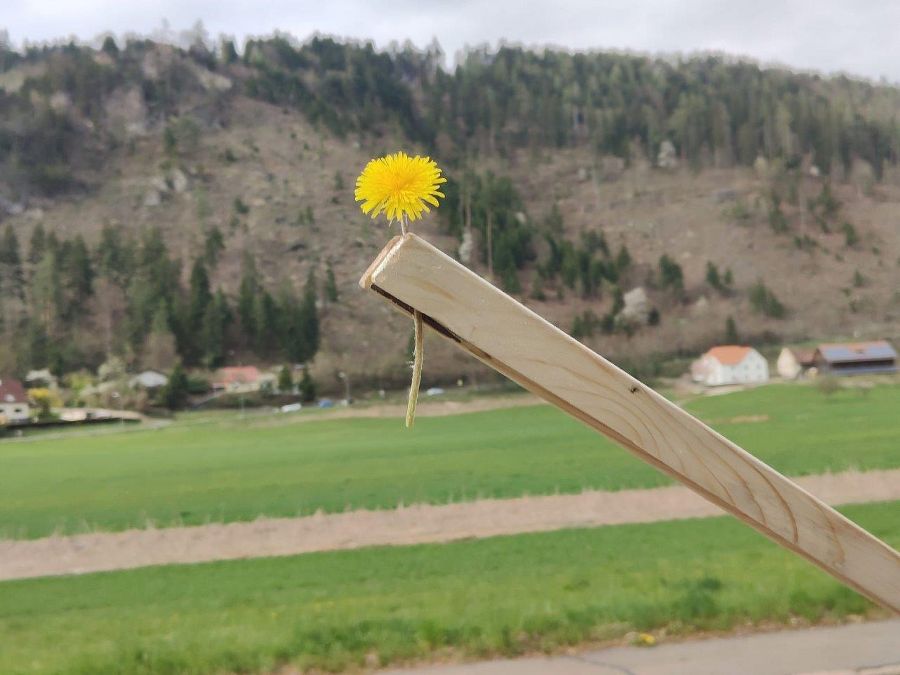 Frühjahrsputz 2026: