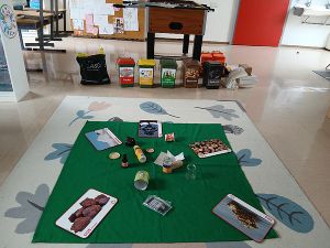 Workshop in einer Volksschule durch die Abfallberatung des AWV Leibnitz