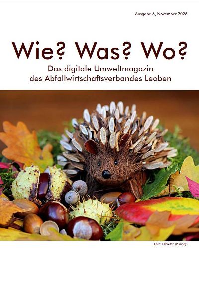Herbstmotiv mit gebasteltem Igel aus Holzstäbchen, Kastanien in der Schale und bunte Blätter.