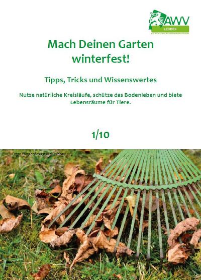 Bildausschnitt eines Wiesenstücks und einem grünen Metallrechen, der braunes Laub zusammenrecht.