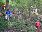 Eifrige Abfallsuche im Wald