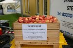Gewinnspiel