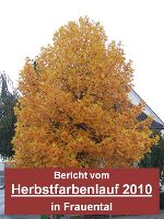 Herbstfarbenlauf - Download