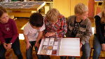 Schulerlebnistage