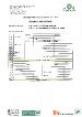 Zeitplan 1