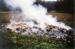Umwelt- und Abfalltelegramm 1/2005 