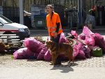 Schäferhundeverein Fernitz