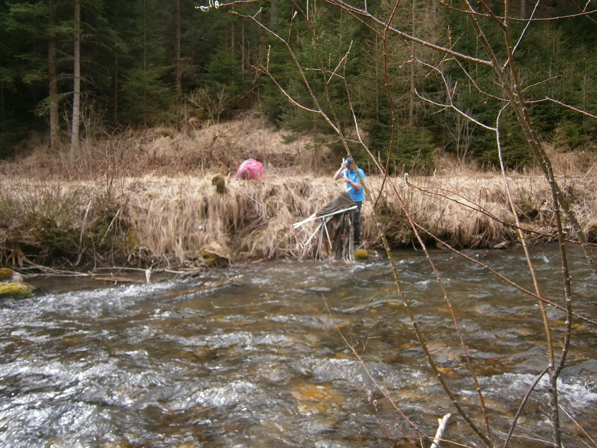 Pusterwald
