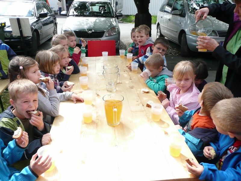 Forschen mit der Montanuni Leoben