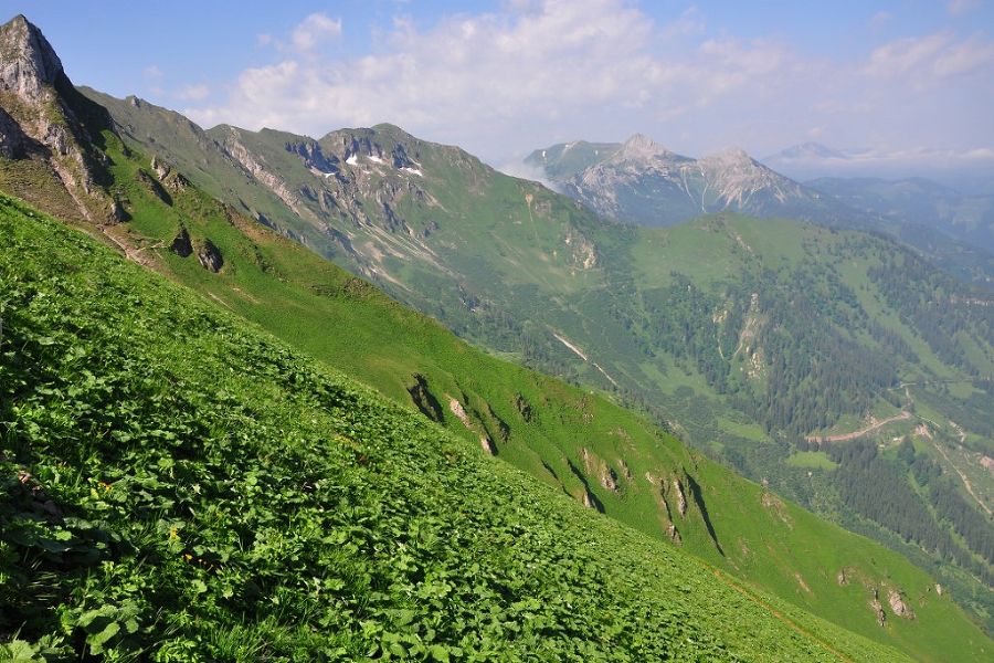 Reichenstein Wanderung