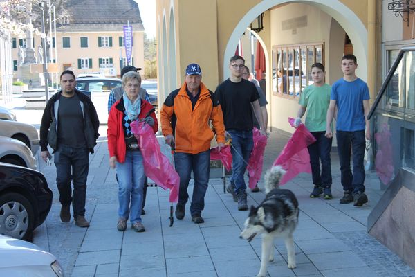 Frühjahrsputz in Wies