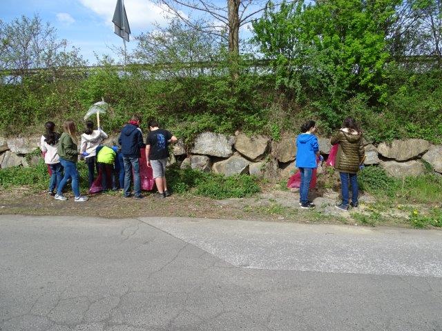 NMS Feldbach 