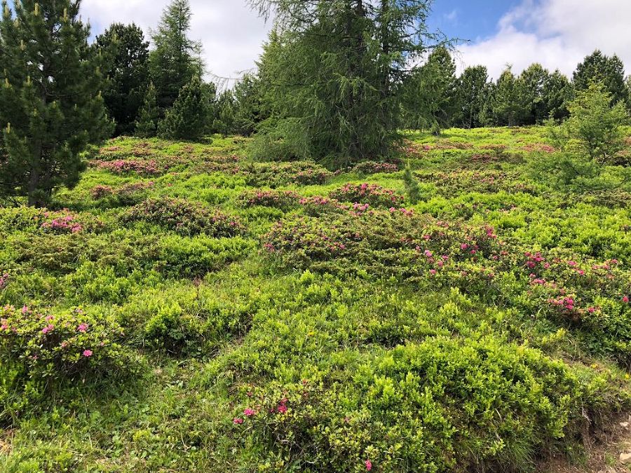 Wanderung 2018 Wanderung 2018