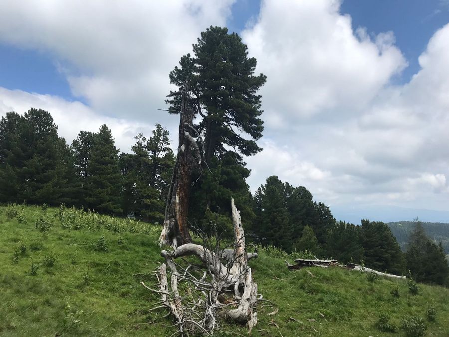 Wanderung 2018 Wanderung 2018