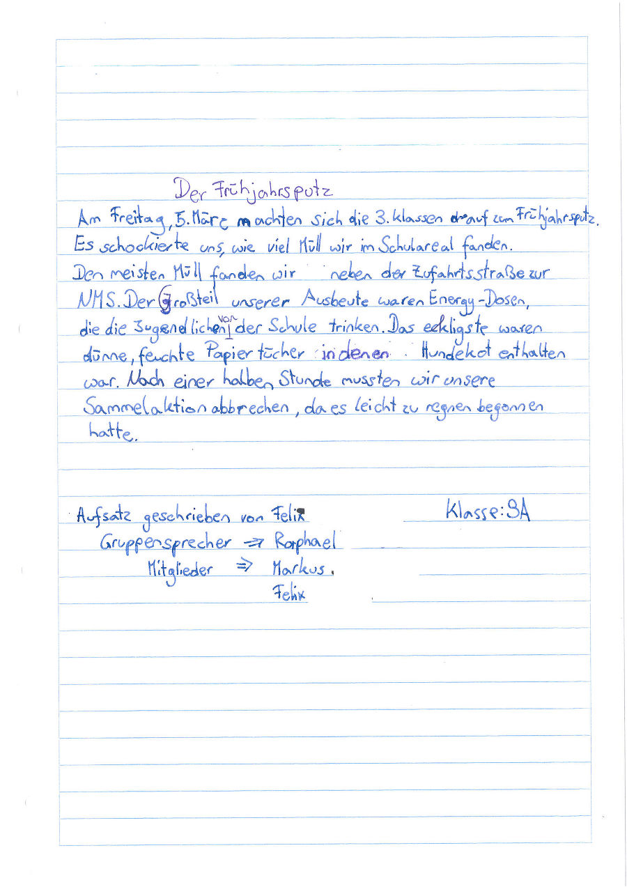 Der Frühjahrsputz Der Frühjahrsputz