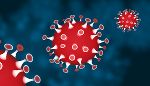 Corona-Virus © www.pixabay.com Corona-Virus