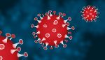Corona Virus © Pixabay Corona Virus