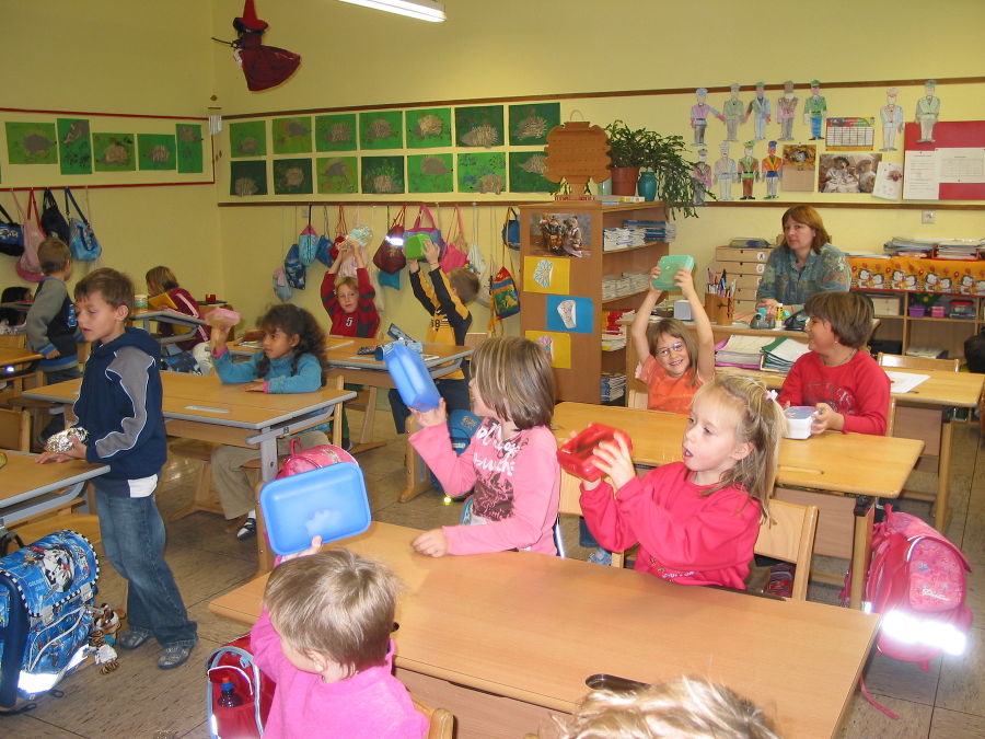 Umweltwoche in der Hauptschule Feldkirchen