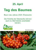 Tag des Baumes © AWV Leoben