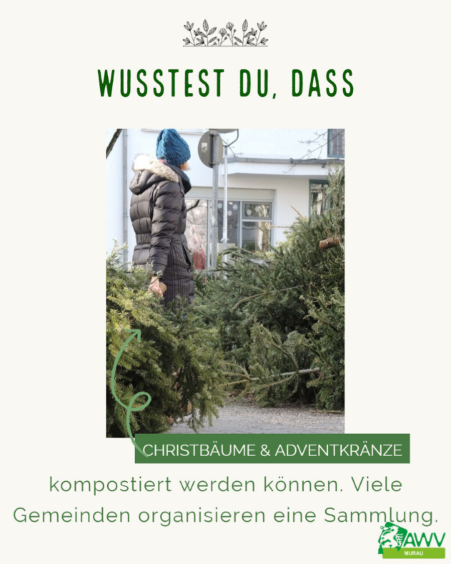 Infoblatt Wusstest du, dass...? Infoblatt Wusstest du, dass...?