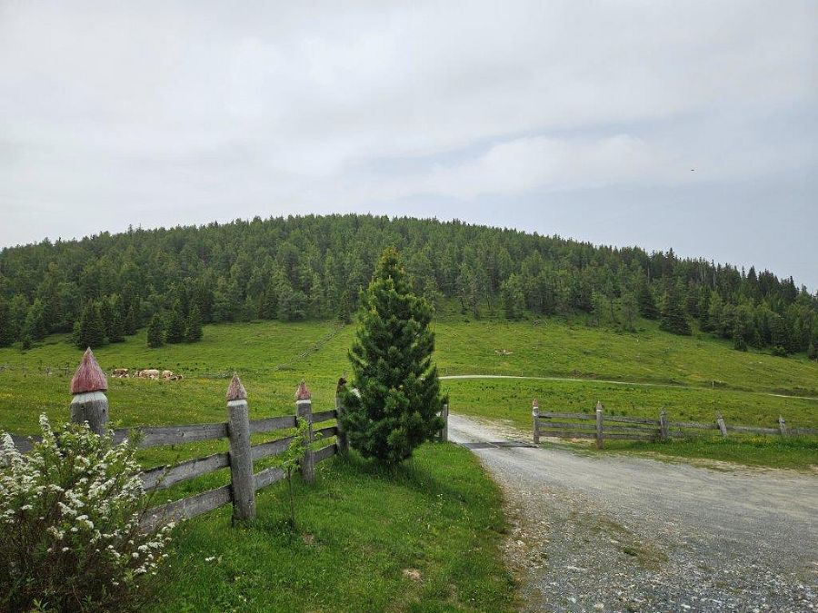 Wanderung zum Wilden Loch Wanderung zum Wilden Loch