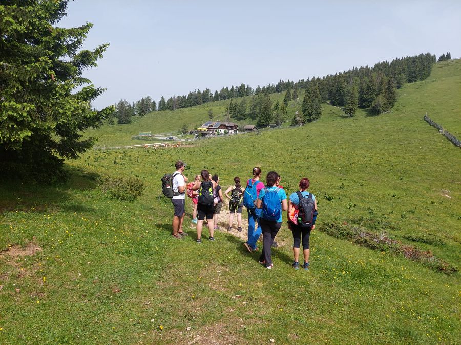 Wanderung zum Wilden Loch Wanderung zum Wilden Loch
