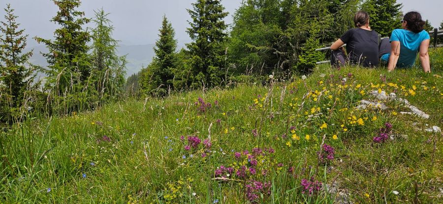 Wanderung zum Grebenzenhaus Wanderung zum Grebenzenhaus