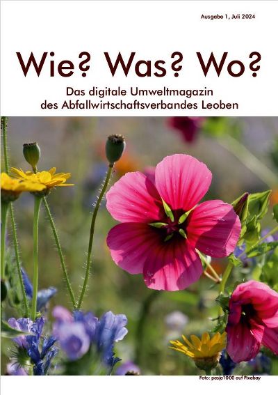 Wie? Was? Wo? Deckblatt