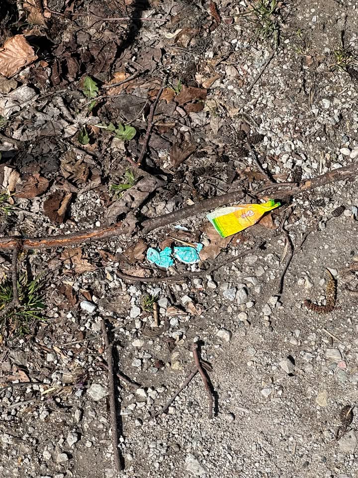 Frühjahrsputz: