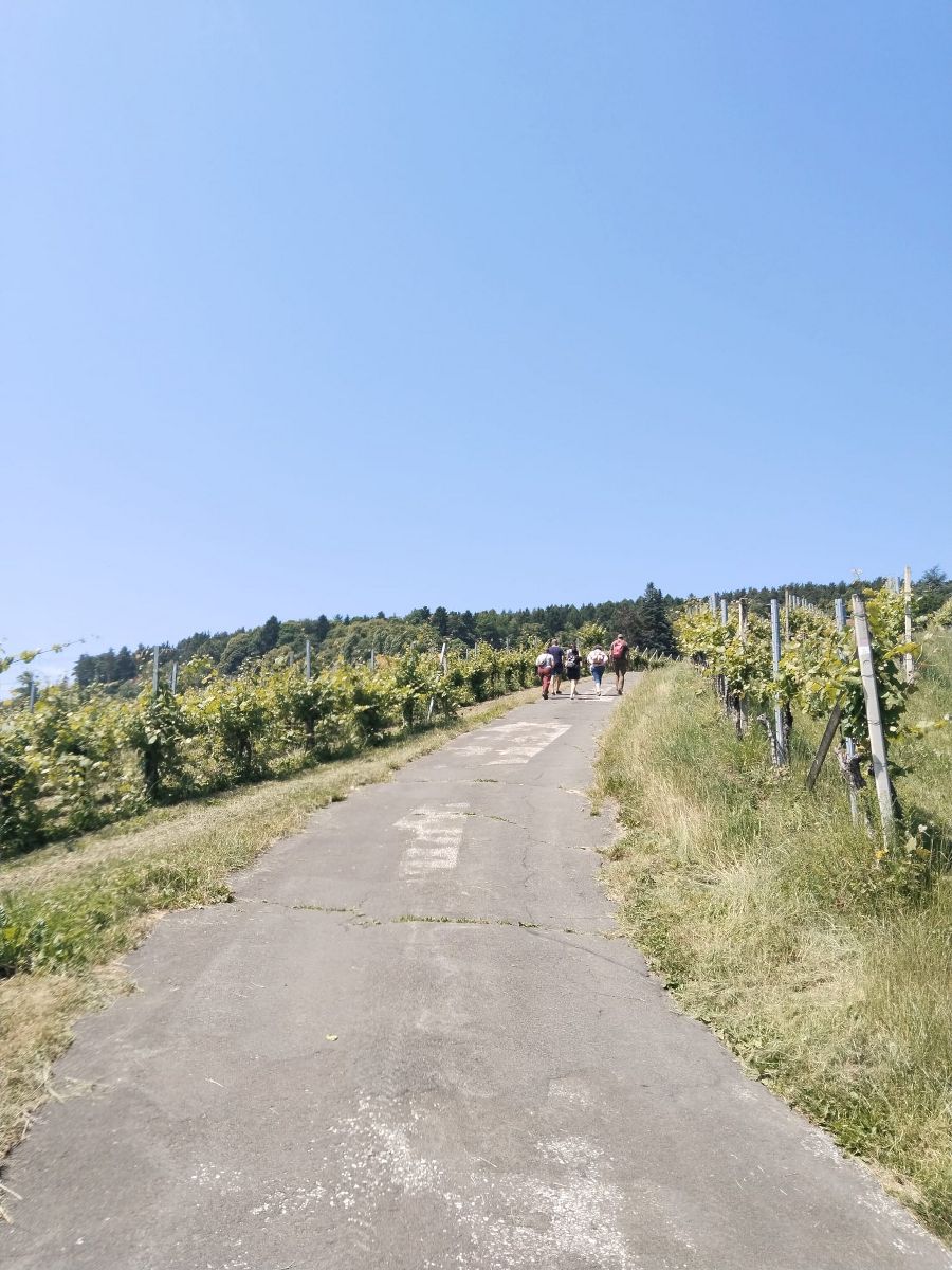 Wandertag der Abfallberater