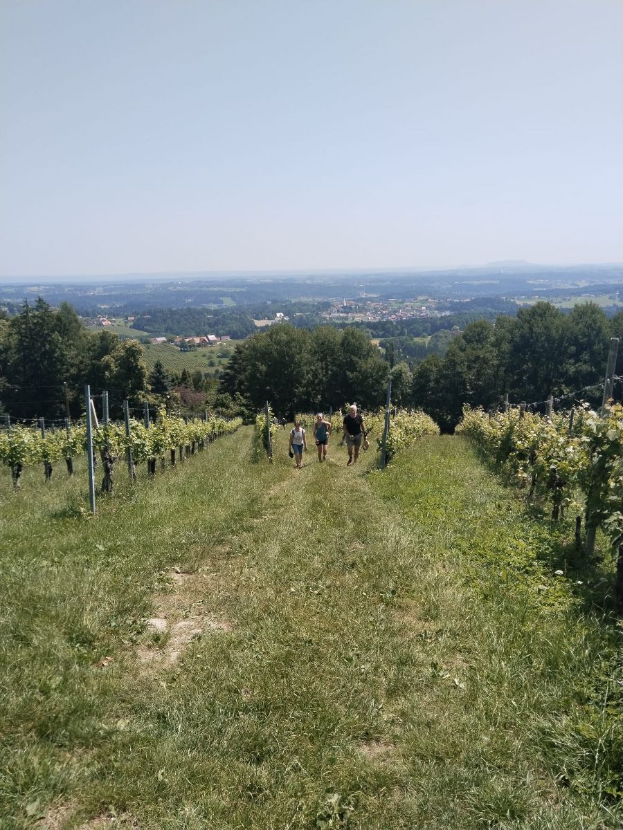 Wandertag der Abfallberater
