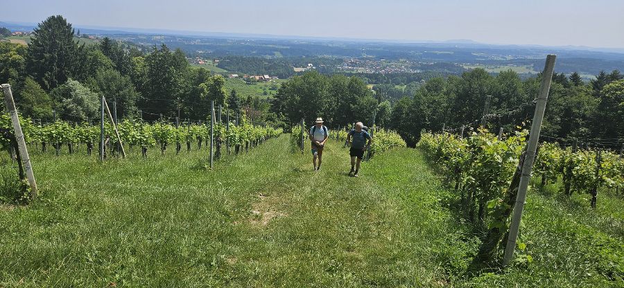 Wandertag der Abfallberater